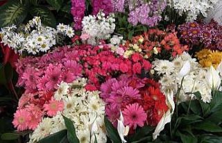 Korona virüs salgını çiçek satışlarını artırdı