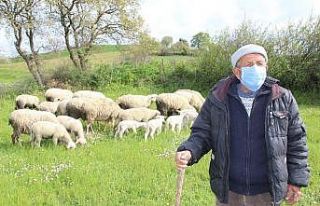Korona virüse inat bu köyde tarım ve hayvancılık...