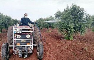 Kronik hasta kişinin zeytin ağacını ilaçladılar