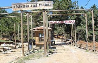 Küçükelma Tabiat Parkı’nda düzenleme