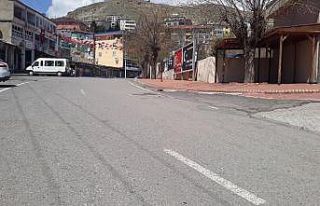 Kulp sokakları yasağın ikinci gününde de boş...