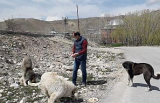 Kur’an kursu öğreticisinden sokak hayvanlarına...