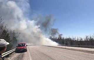 Kuru otlar yangına neden oldu