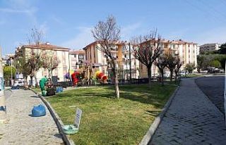 Kuşadası’nda hedef daha yeşil bir doğa dostu...