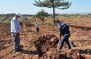 Kütahya Orman Bölge Müdürlüğü gelir getirici...