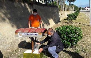 Kuyucak Belediyesi sokak hayvanlarının yanında