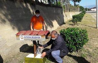 Kuyucak’ta sokak hayvanları unutulmadı