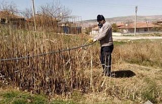 Larvalara karşılık mücadele başlatıldı