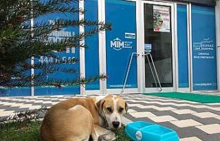 Limak Enerji’den içi ısıtan proje