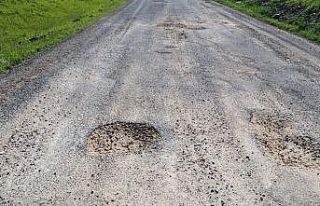 Mahalle yolu köstebek yuvasını andırıyor