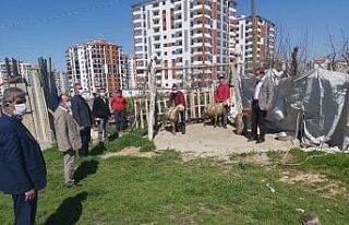 Malatya’da Bakan Soylu için koç kesildi