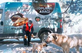 Malatya’da parklara sokak hayvanları için ekmek...