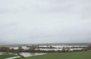 Malazgirt ovasında 50 bin dekarlık ekili alan sular...