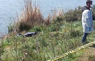 Maltepe’de intihar: Eşiyle boşanma aşamasında...