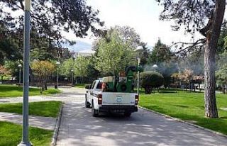 Manisa’da bir yandan virüsle, bir yandan da haşereyle...