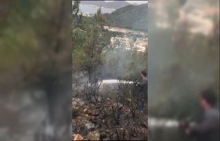 Marmaris’te makilik alanda yangın çıktı