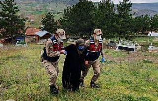 Mehmetçik, Havva anneyi şehit oğlunun mezarına...