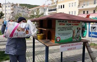 Menteşe’de ‘Can Dostlara’ mama takviyesi