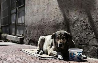 Mersin’de korona virüs salgını sürecinde sokak...