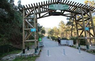 Mesire alanlarının girişinde demir dubalı önlem