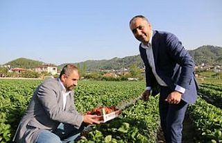 MHP’li Kaşıkçı: "Bizim ikiliğe değil,...
