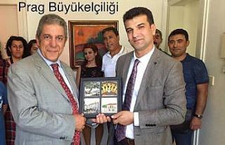 Milas’ın ’Papatyaların Boynu Bükük Kalmasın’...