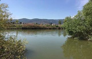 Millet Parkı çalışmaları devam ediyor