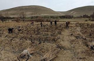 Milletvekili Arvas: “Tarımsal ve kültürel değeri...