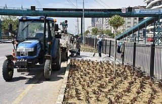 Mimar Sinan Bulvarında peyzaj çalışması başladı