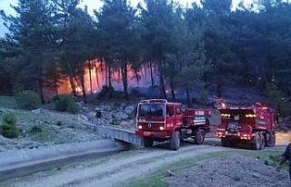 Muğla’da orman yangınları erken başladı
