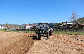 Muğla’da tarımsal faaliyetler devam ediyor