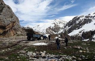 Munzur Dağları yeşillenecek