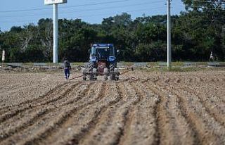 Muratpaşa’da tohumlar toprakla buluştu