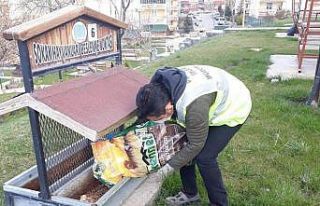 Nevşehir Belediyesinden sokak hayvanlarına mama...