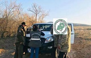 Niğde’de usulsüz av yapanlara ceza yazıldı