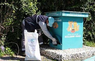 Nilüfer’de can dostlar için seferberlik