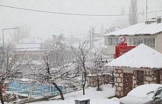 Nisan ayında kar yağışı