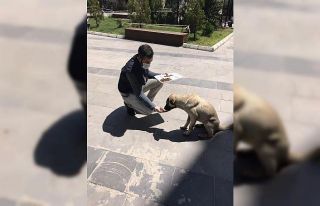 Nusaybin polisi sokak hayvanlarını unutmadı