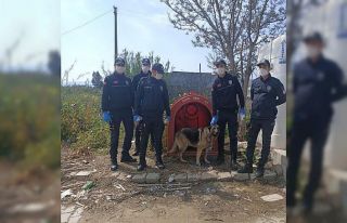 Ödemiş polisi can dostları sahipsiz bırakmadı