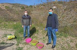 Oğuzlar’da sokak hayvanları için doğaya yem...