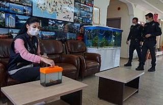 Okulda aç kalan balık ve köpeklerin imdadına polis...