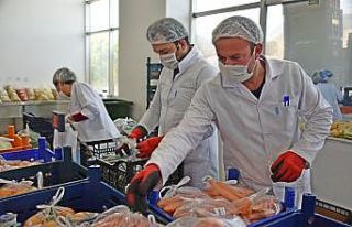 Online semt pazarının lideri patates ve çilek oldu