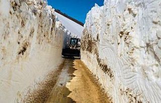 Ordu’da 2 bin rakımlı yaylada kar mücadelesi