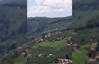 Ordu’da bir mahalle karantinaya alındı