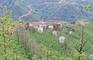 Ordu’da karantinaya alınan mahalle sayısı 3’e...