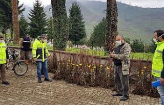 Ordu’da kestane üretimi başlıyor