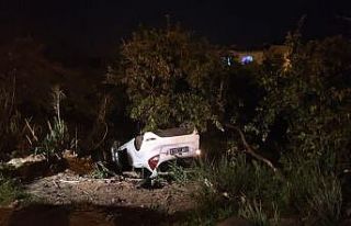 Otomobil bahçeye uçtu