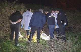 (Özel) Boş arazide çok sayıda kemik ve kafatası...