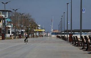 (Özel) Bursa sahilleri kedi, köpek ve güvercinlere...