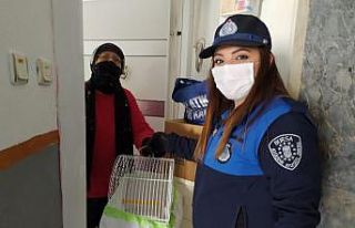 (Özel) Evde kalan yaşlı kadın isteği ile belediye...